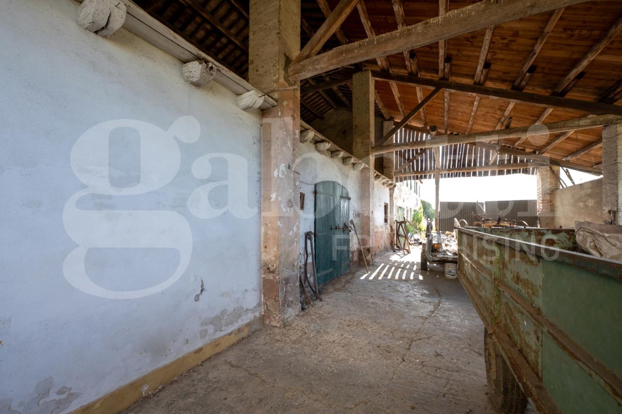 immagine annuncio 9 di 12