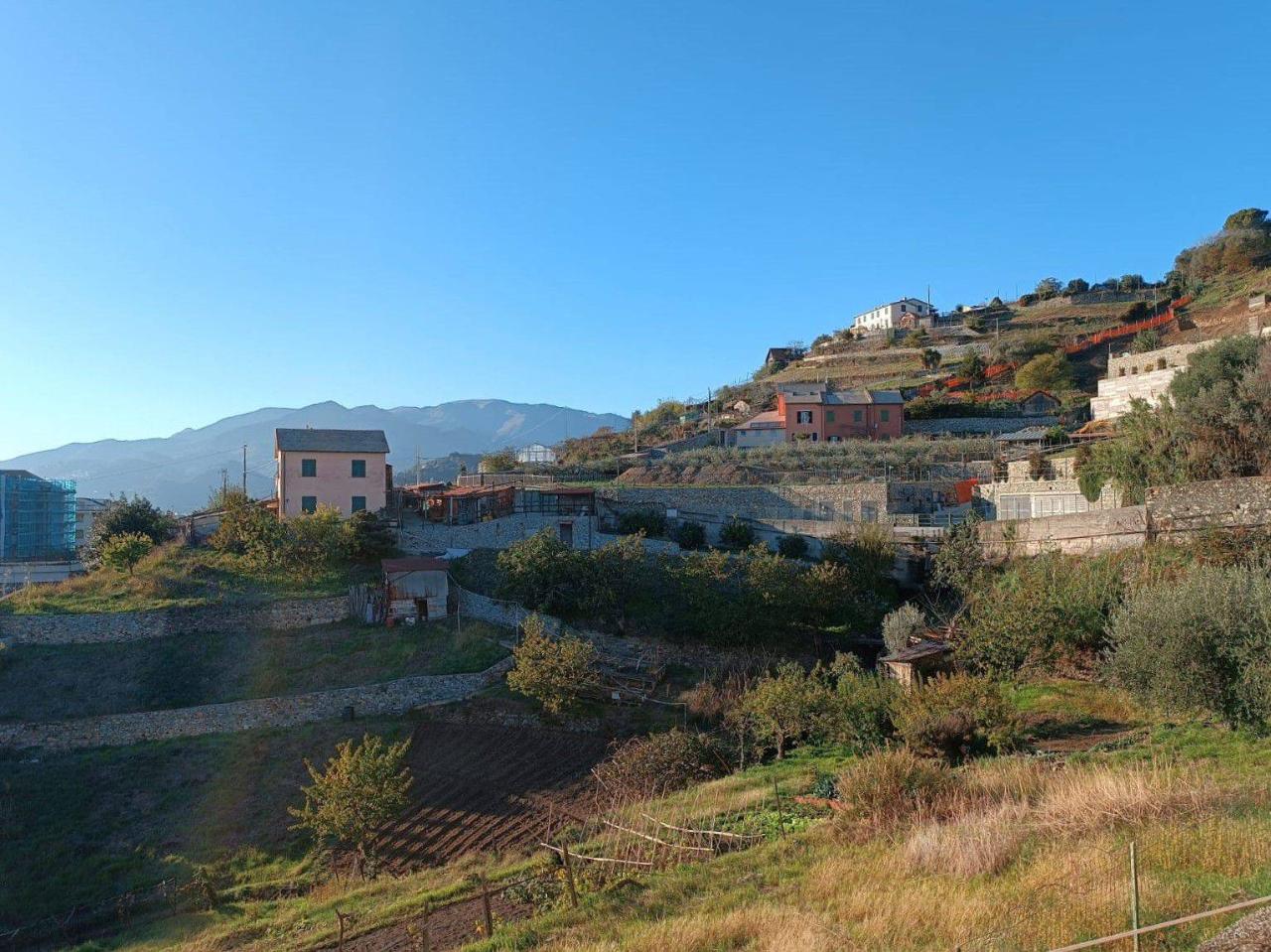 immagine annuncio 11 di 13