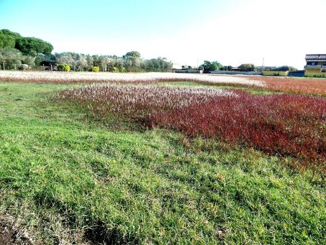 Terreno agricolo in Via Valfurva 13, Aprilia - Foto 1