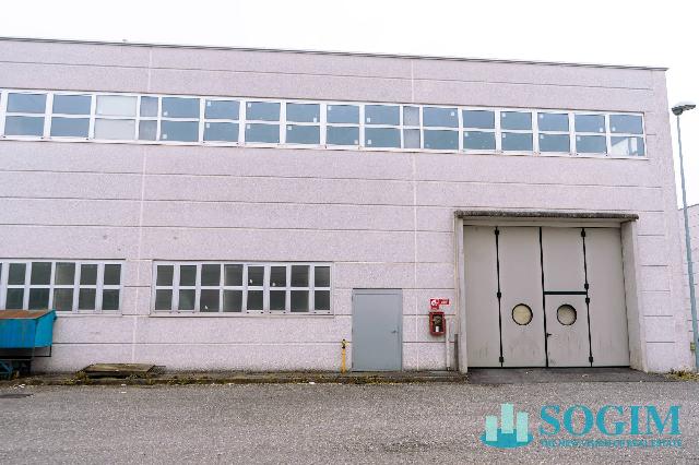 insertion image