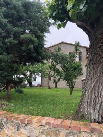 Rustico, Asciano - Foto 1