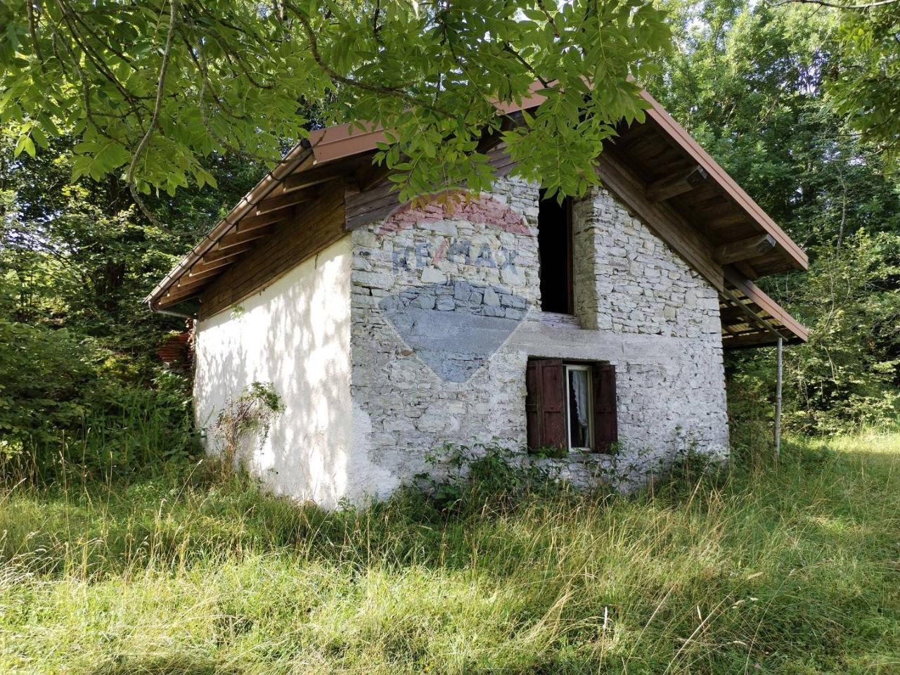 Abitazione tipica in vendita a Borgo Valbelluna