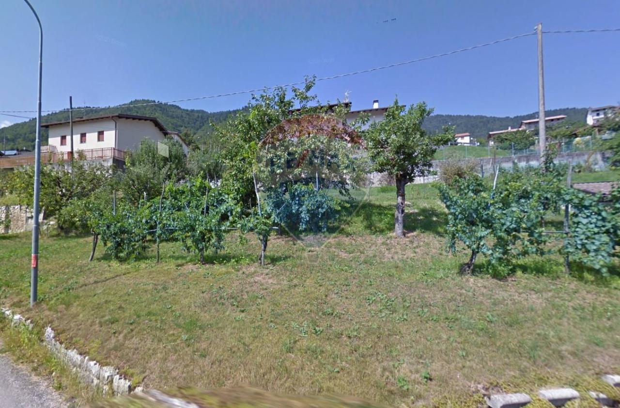 immagine annuncio 3 di 6