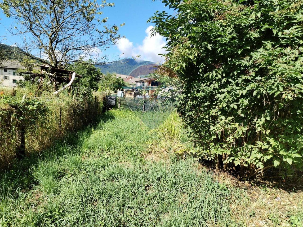 immagine annuncio 5 di 14