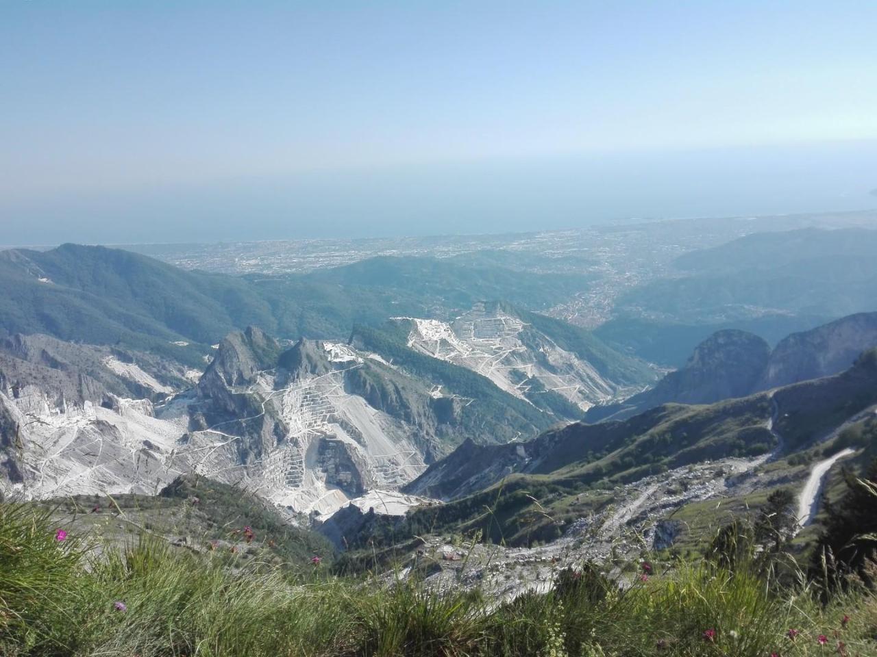 Ufficio in Iale XX Settemb 3, Carrara, {3} - Foto 2