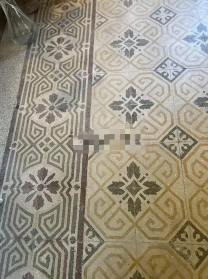 immagine annuncio 4 di 6
