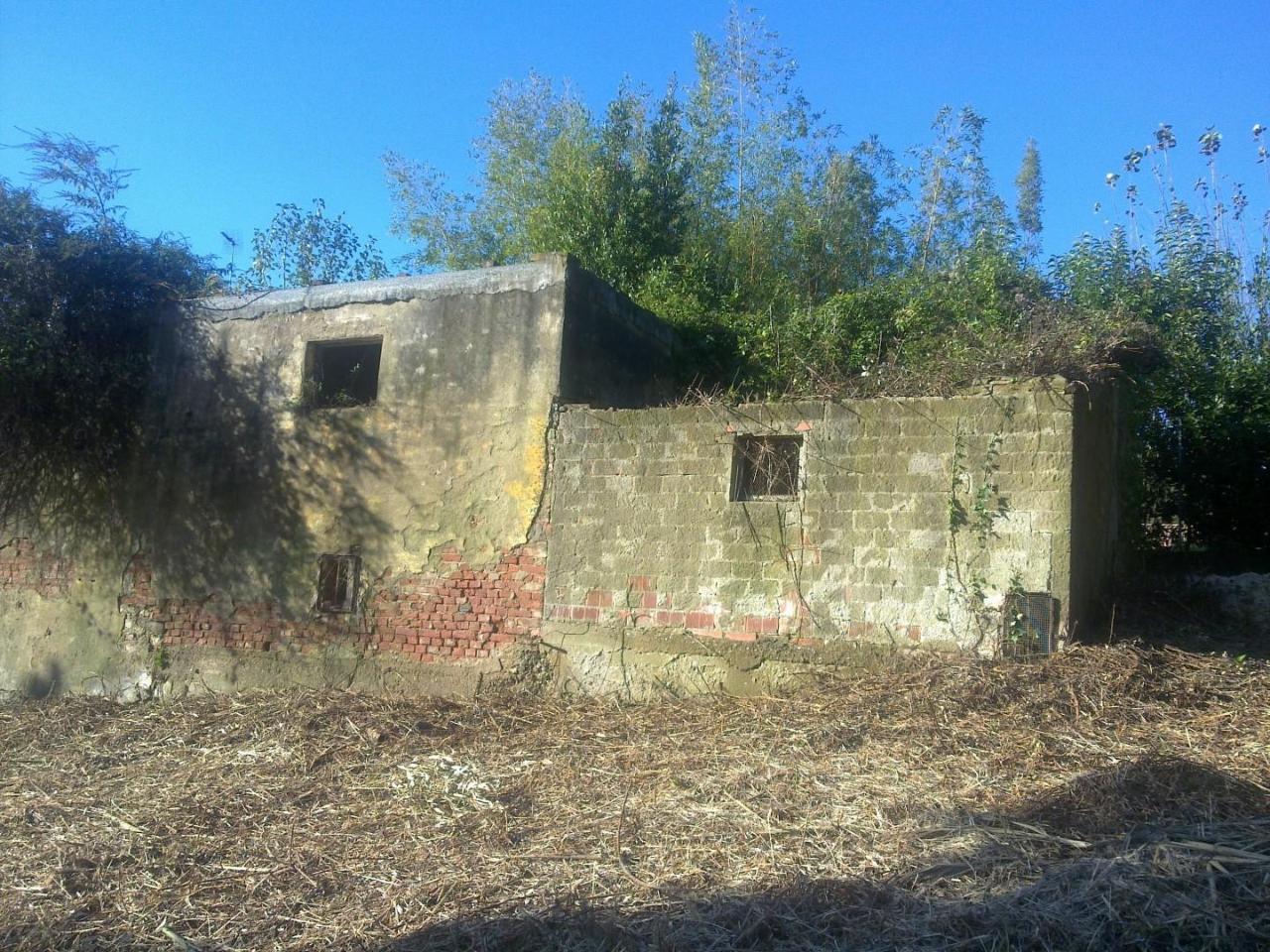 immagine annuncio 2 di 4