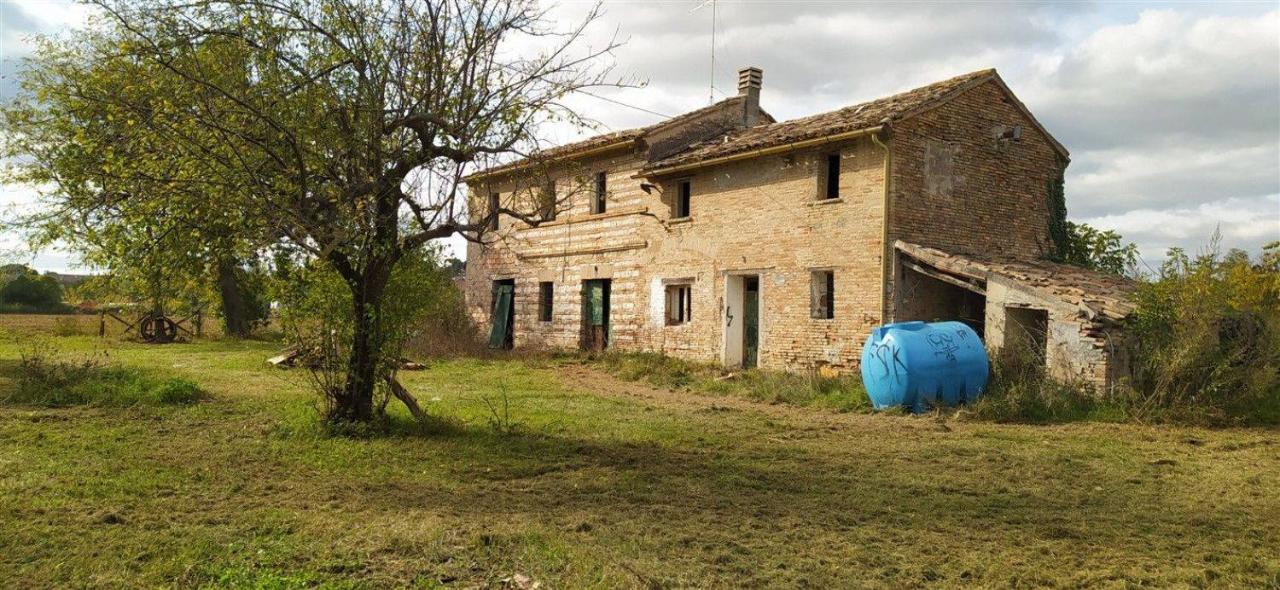 immagine annuncio 4 di 7