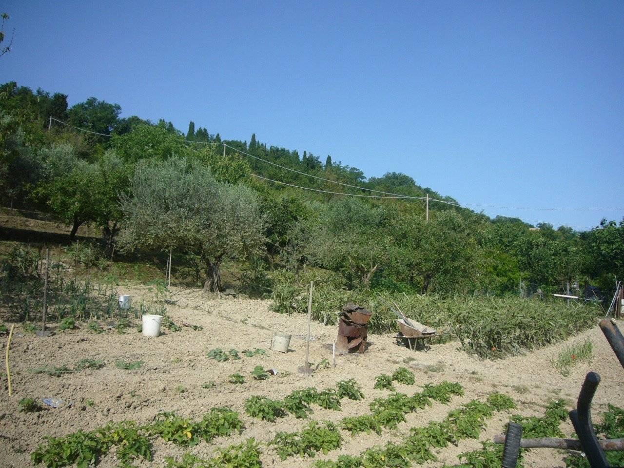 immagine annuncio 3 di 8