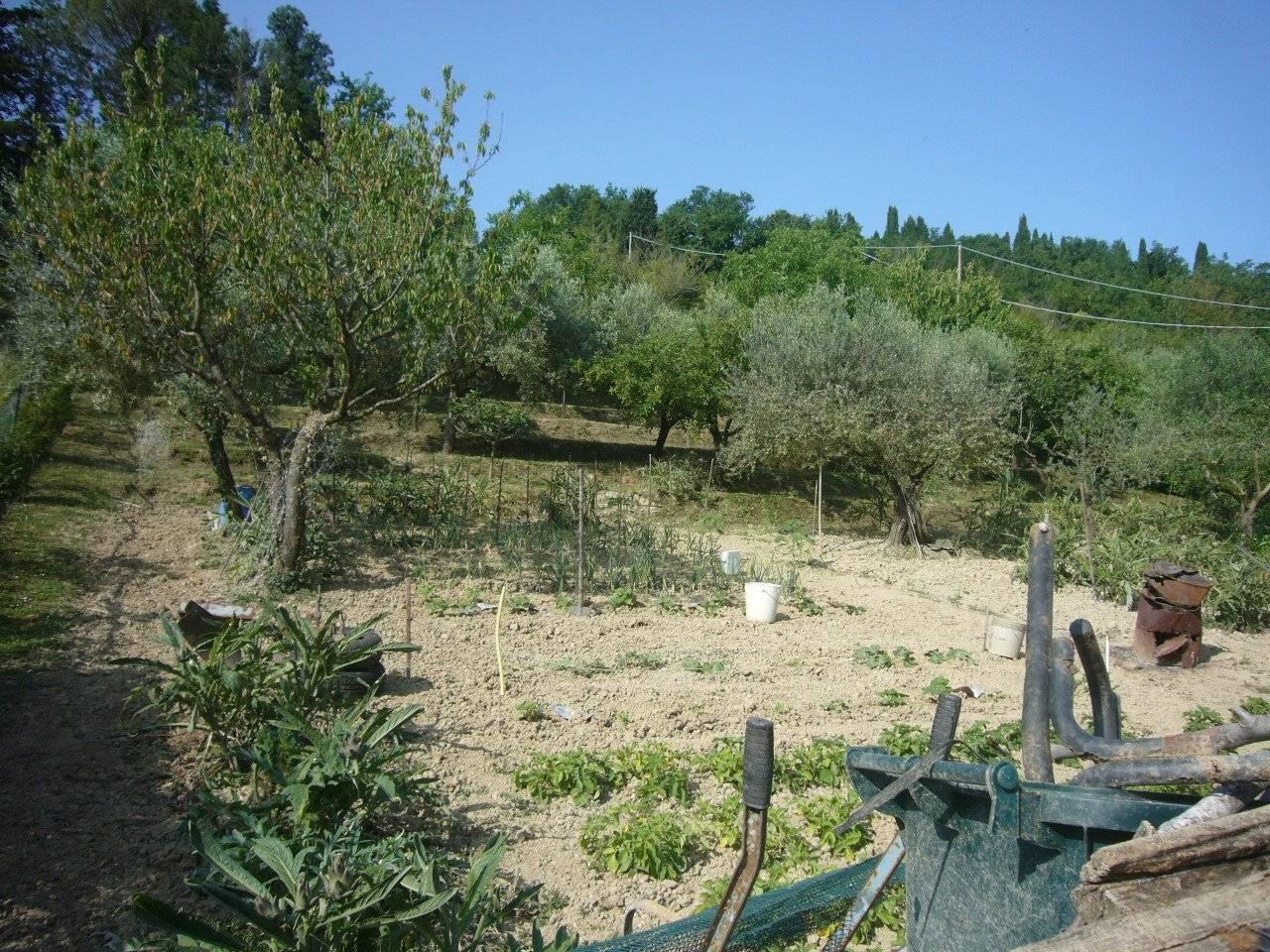 immagine annuncio 4 di 8