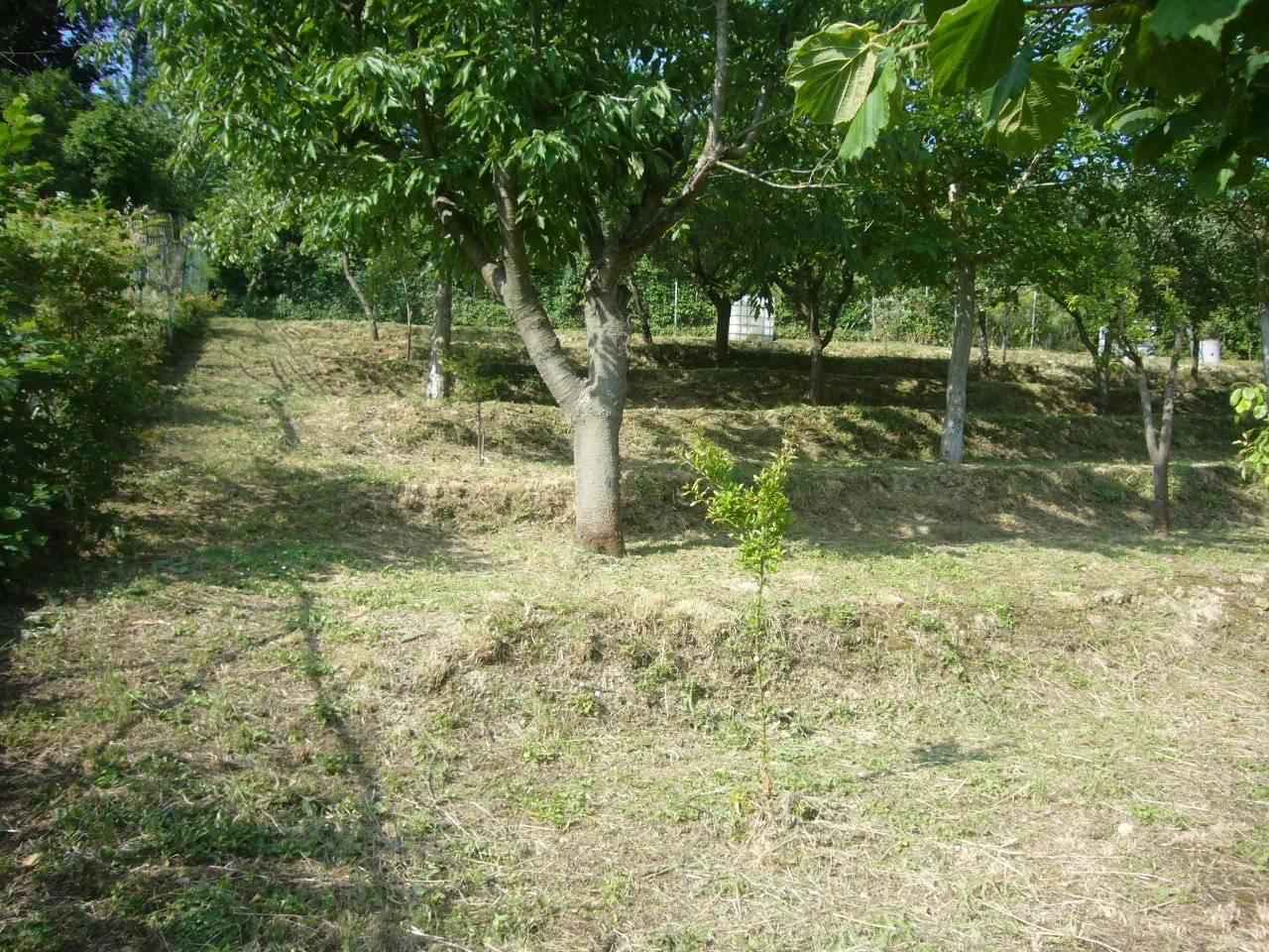 immagine annuncio 6 di 8
