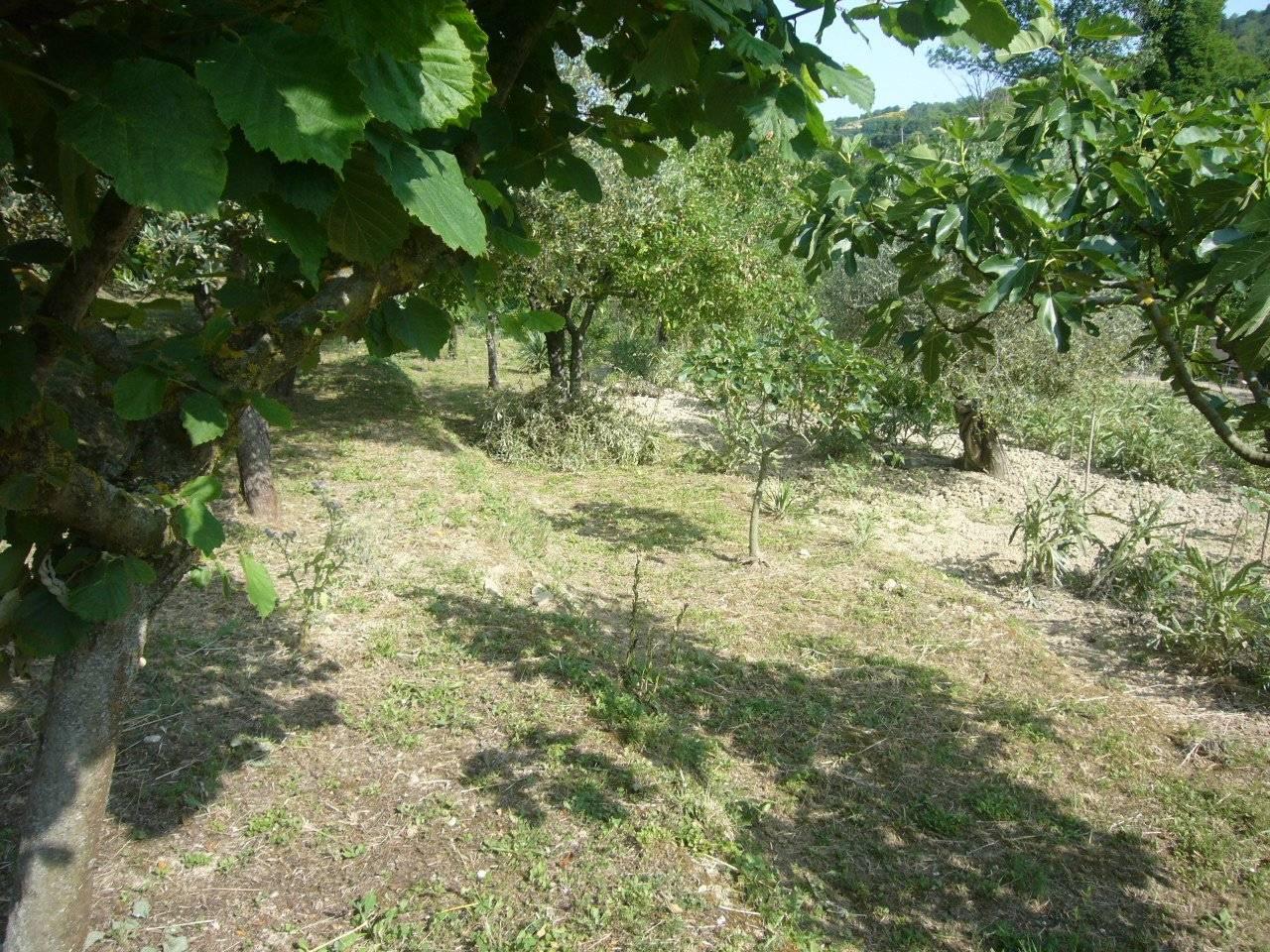immagine annuncio 5 di 8