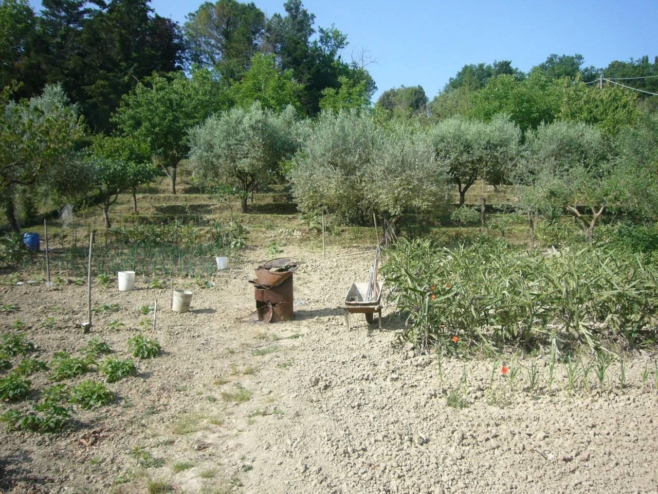 immagine annuncio 2 di 8