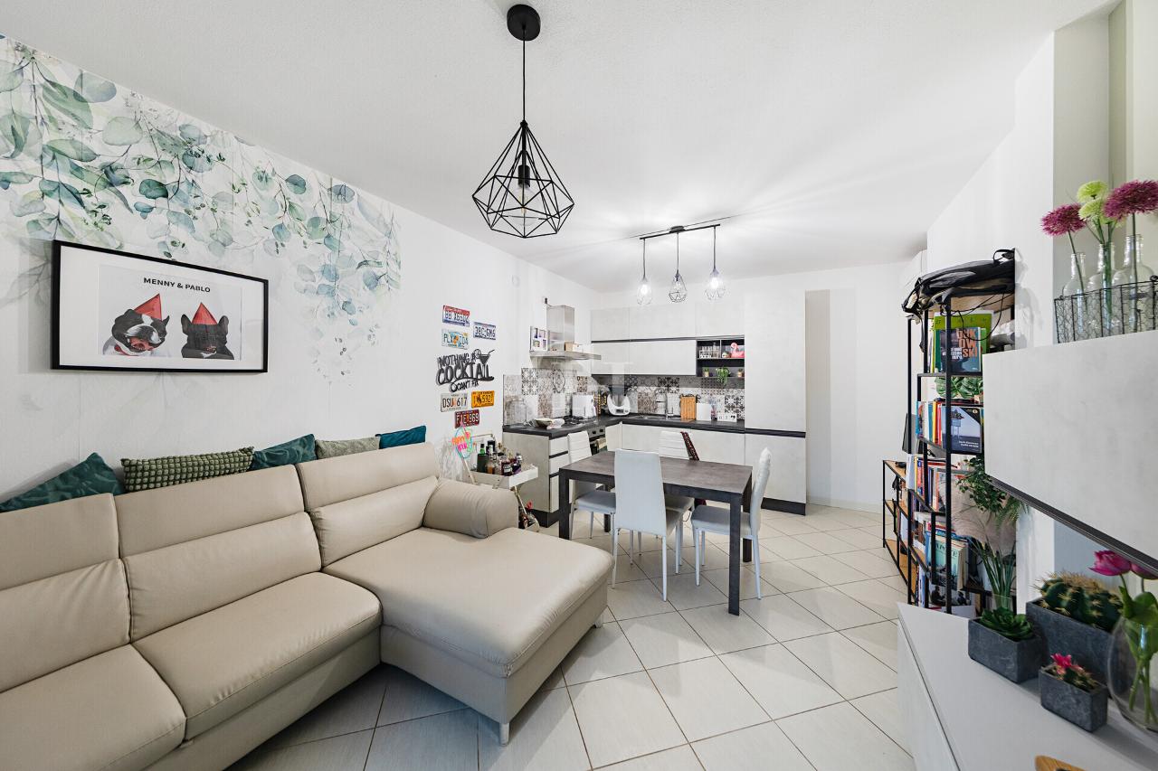 immagine annuncio 4 di 15