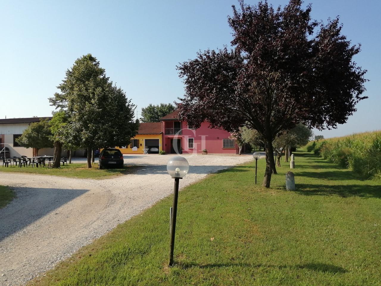 immagine annuncio 5 di 11