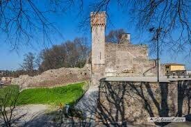 immagine annuncio 10 di 11