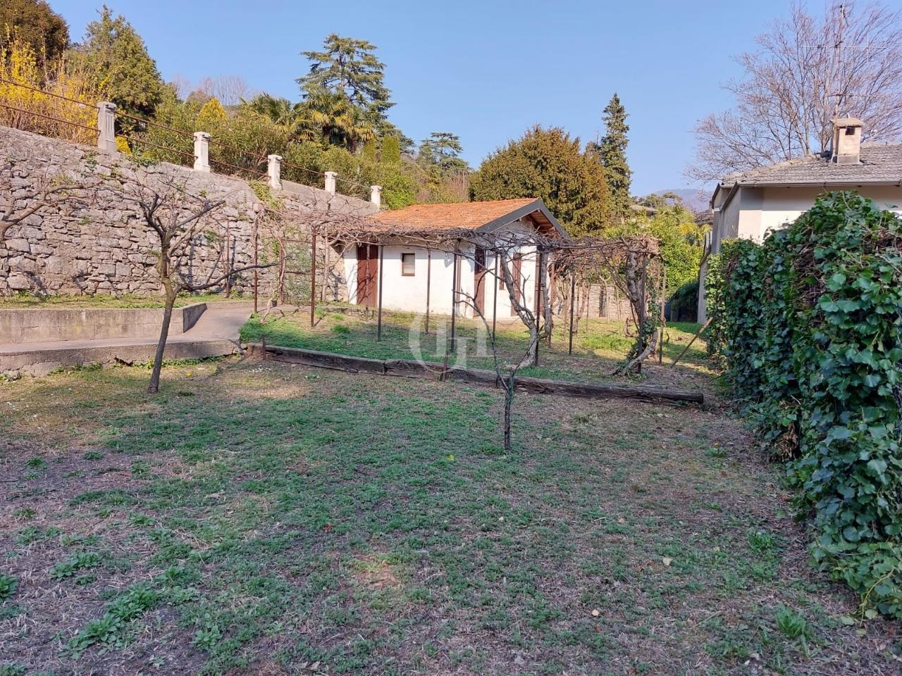 immagine annuncio 10 di 12