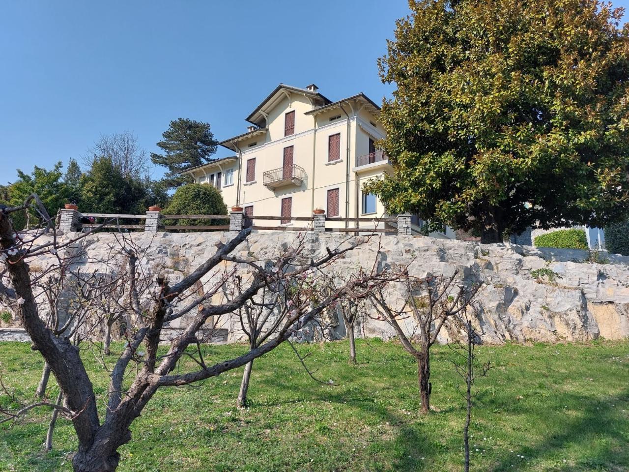 immagine annuncio 6 di 12