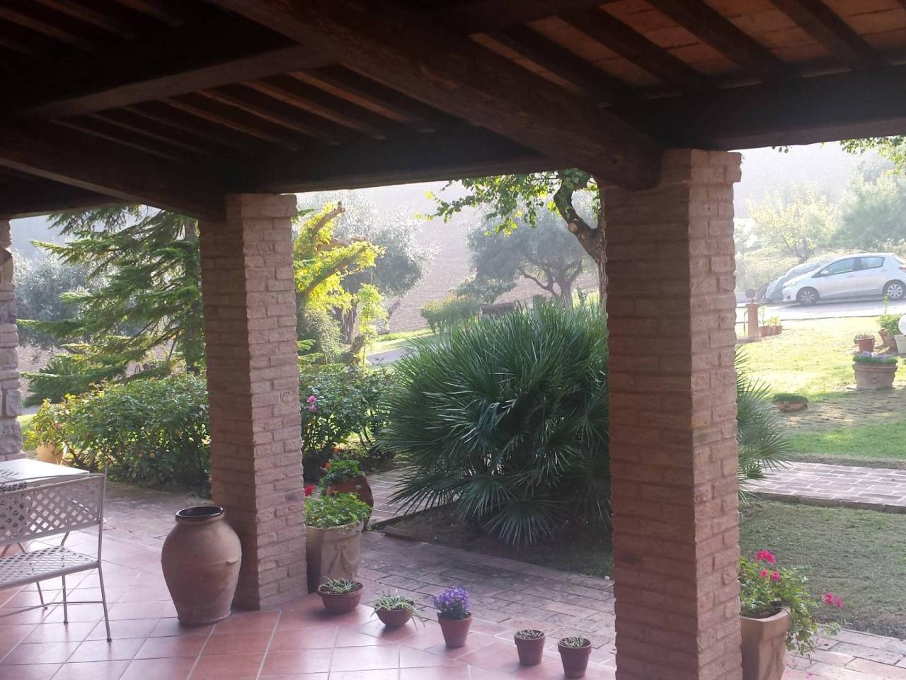 immagine annuncio 3 di 7