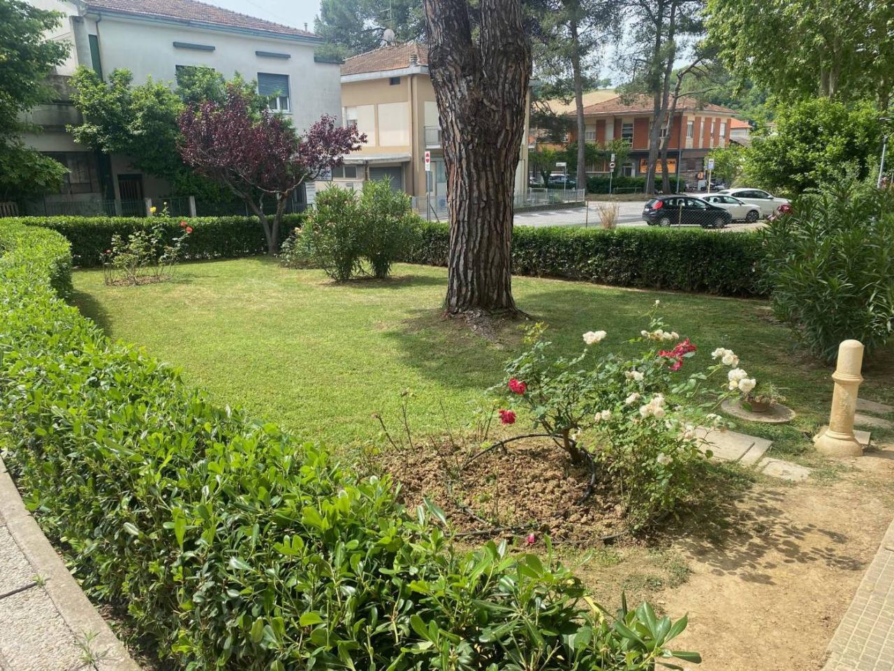 immagine annuncio 1 di 14