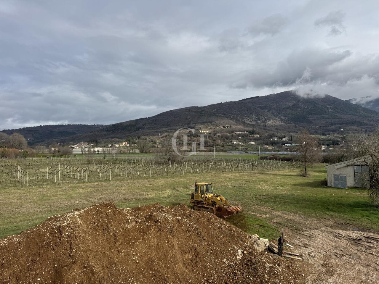immagine annuncio 8 di 13