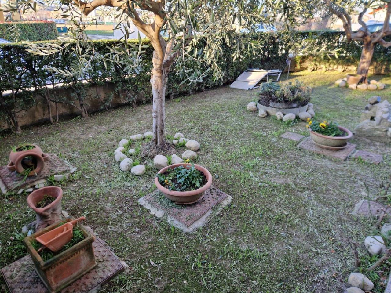 immagine annuncio 6 di 15