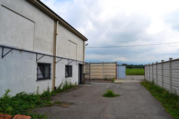 Capannone in Via Pietro Frassati 5, Borriana, {3} - Foto 2