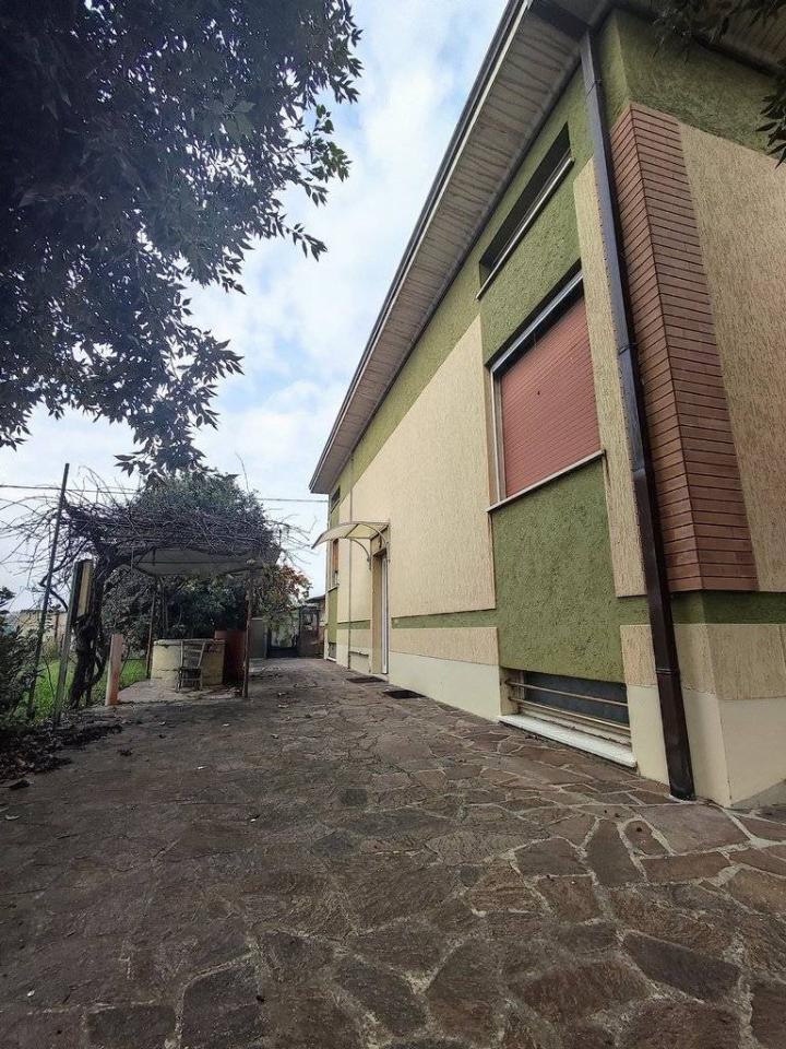 immagine annuncio 3 di 14