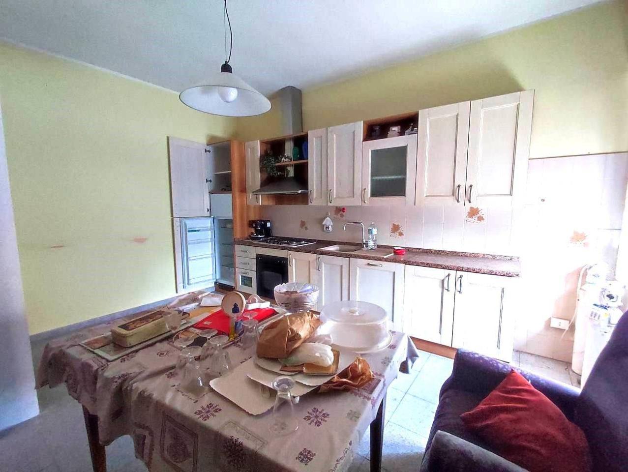 immagine annuncio 4 di 14
