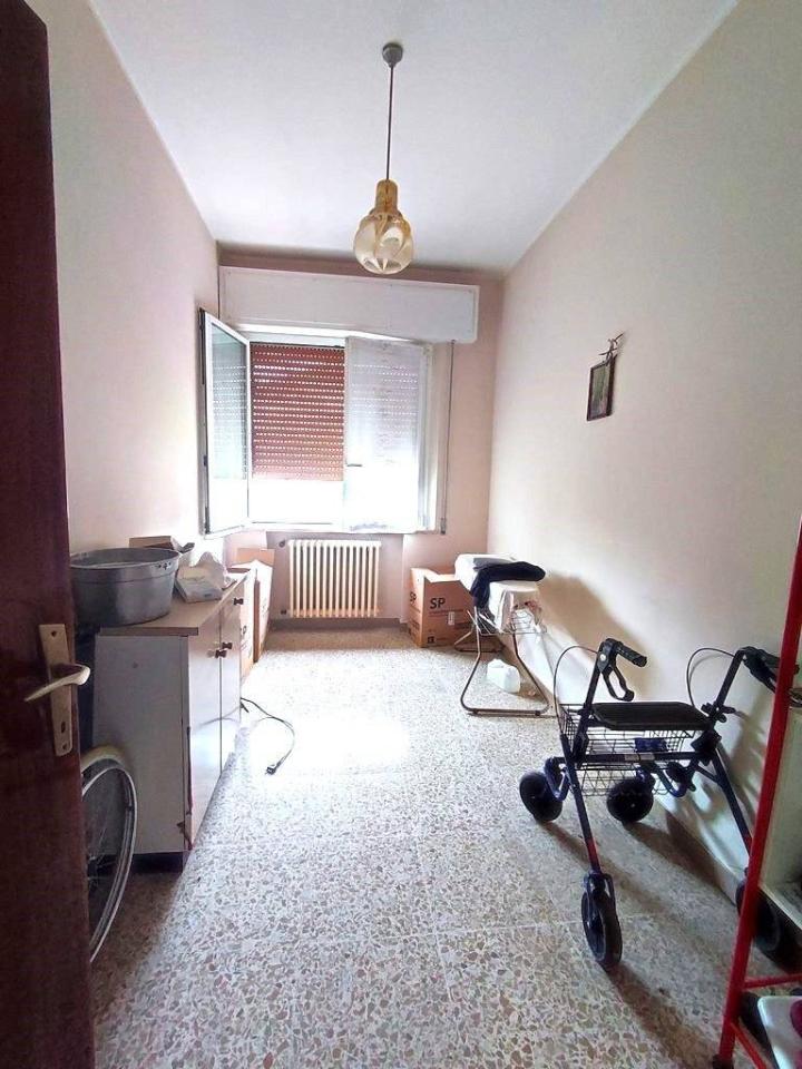 immagine annuncio 9 di 14