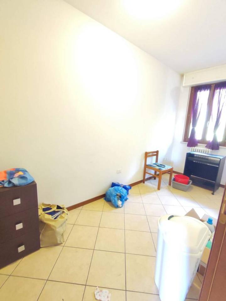 immagine annuncio 7 di 14