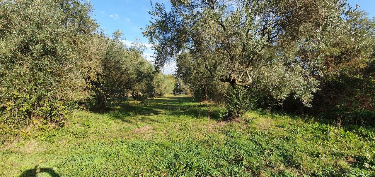 Magazzino in Vicinale Livornese 194, Fucecchio, {3} - Foto 2