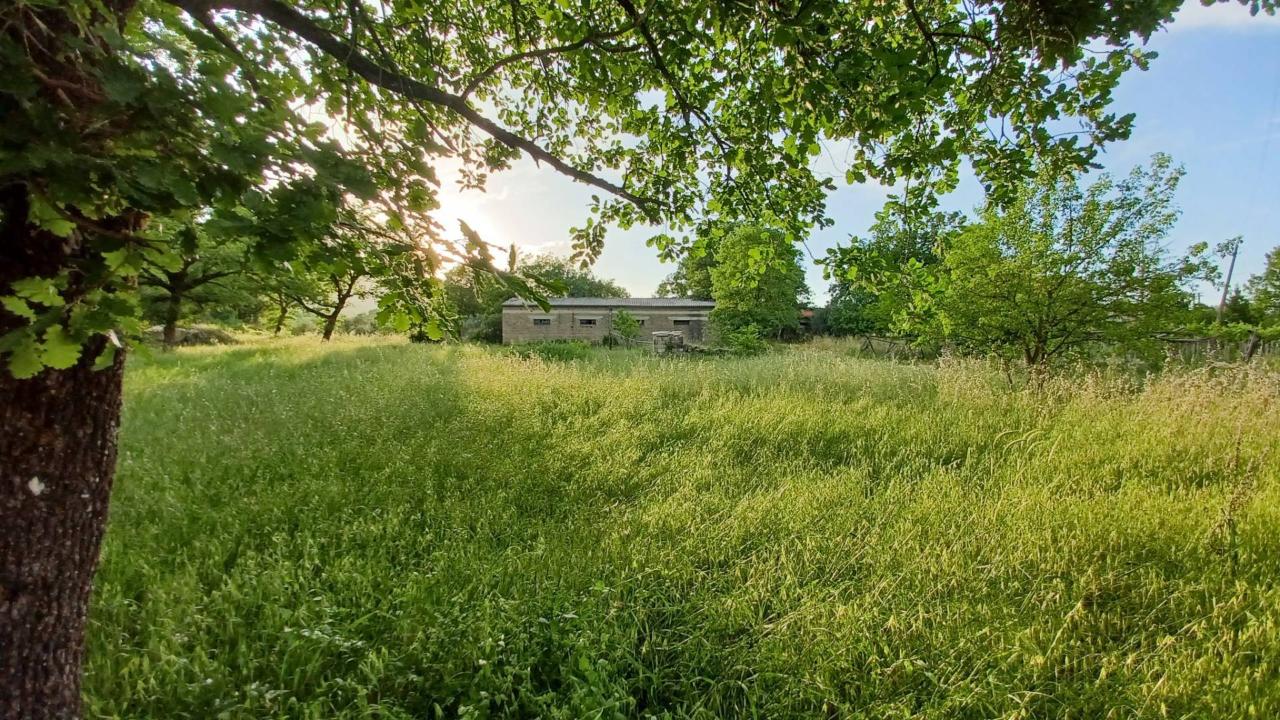 Agriturismo in Via Celma, Amaseno - Foto 1