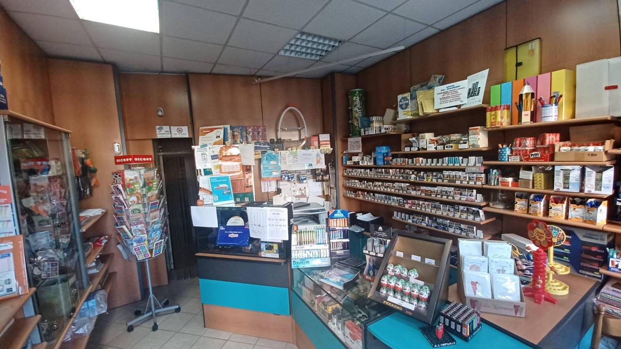 Esercizio commerciale in Via Verdi, Frosinone - Foto 1