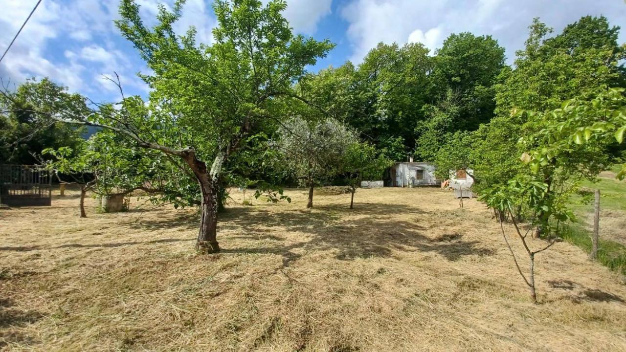 Agriturismo in Via Colle Rosso 12, Ceccano, {3} - Foto 1