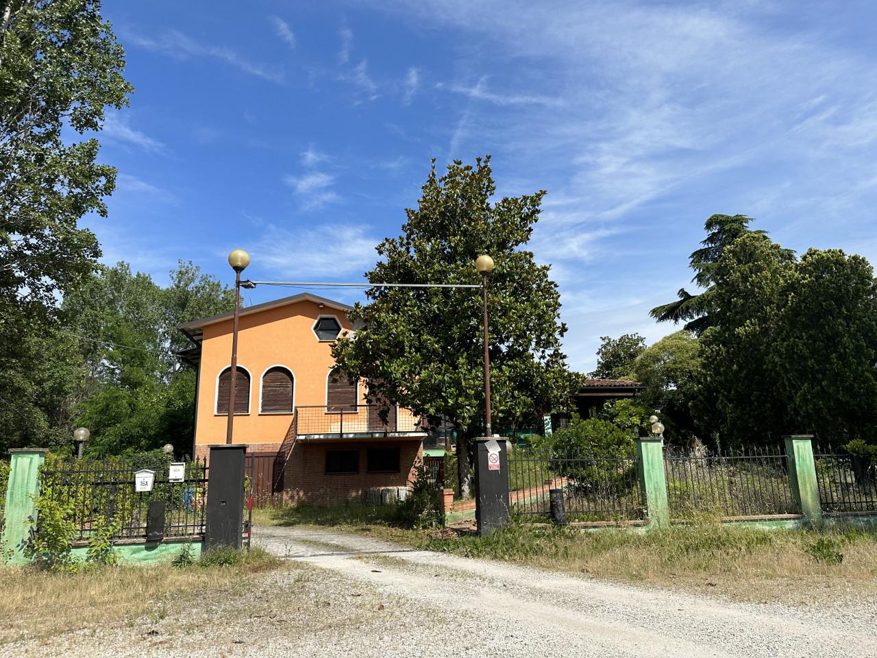 Azienda agricola in vendita a Montegrotto Terme