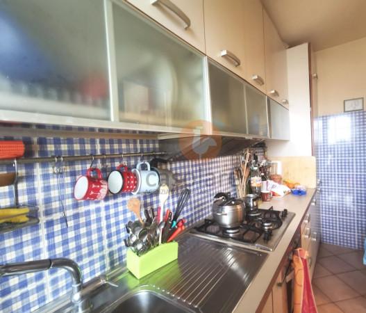 immagine annuncio 5 di 11