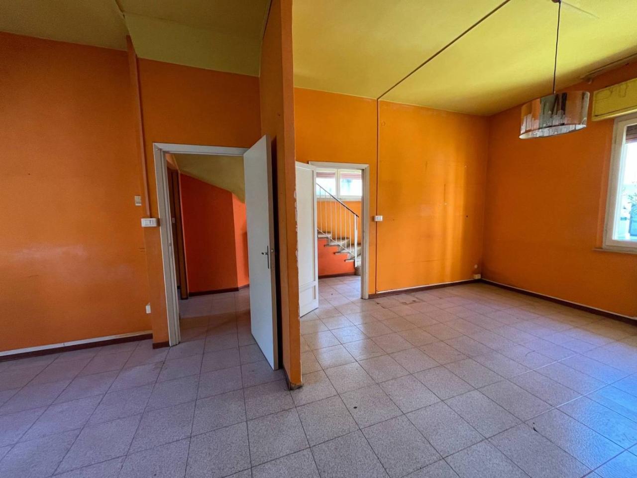 immagine annuncio 1 di 14