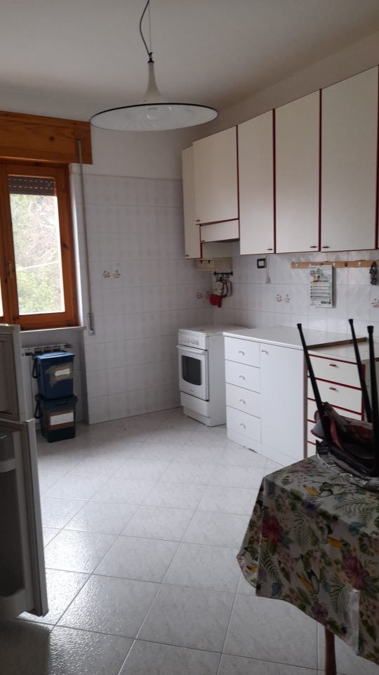 immagine annuncio 8 di 14
