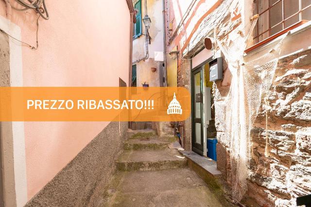 Geschäft in Via Guidoni 50, Vernazza - Foto 1