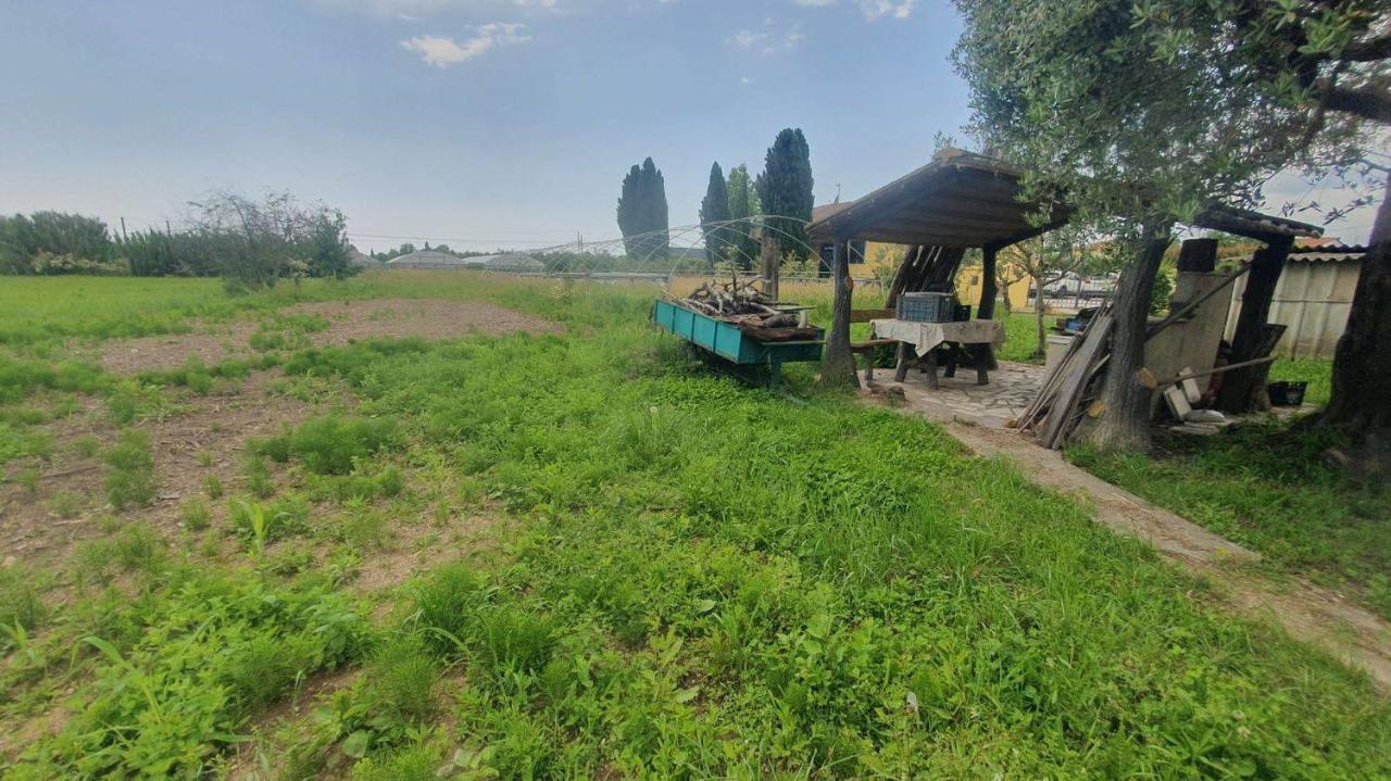 immagine annuncio 9 di 15