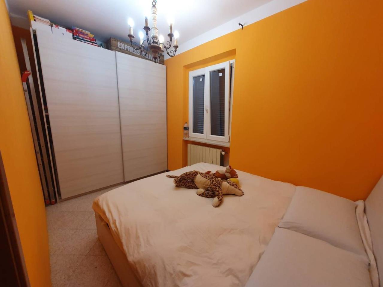 immagine annuncio 1 di 9