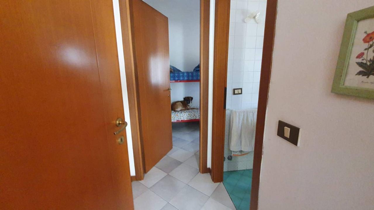 immagine annuncio 6 di 8