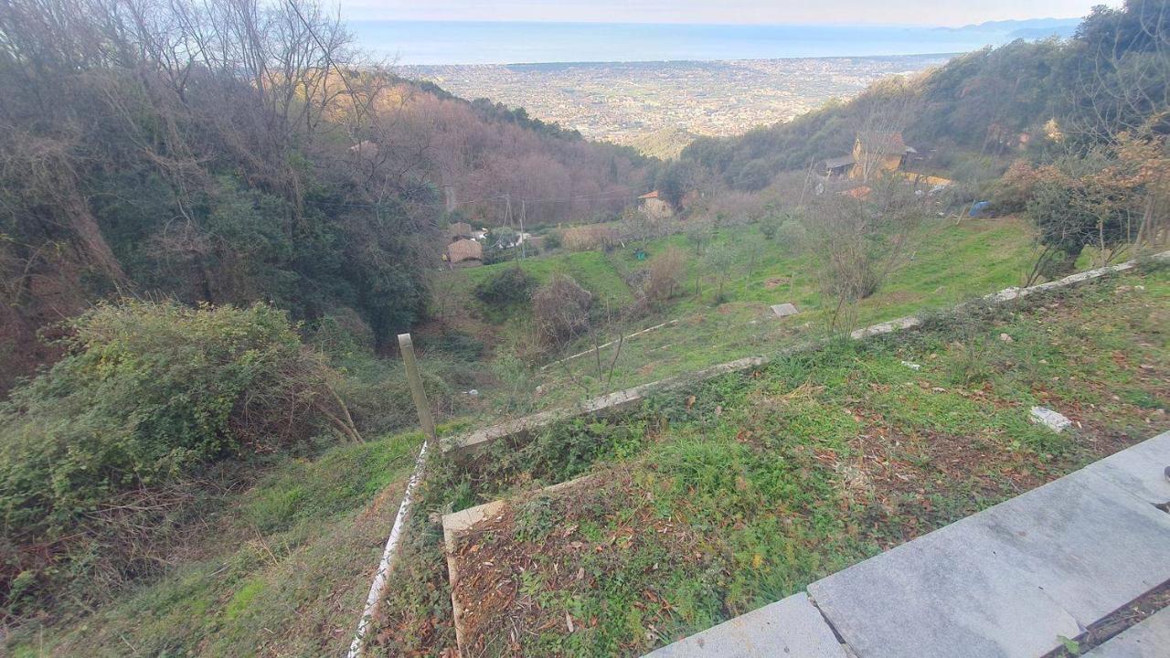 immagine annuncio 8 di 14