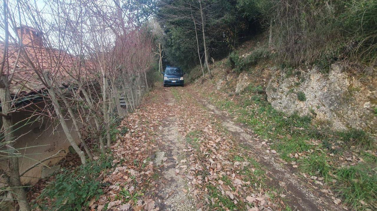 immagine annuncio 10 di 14
