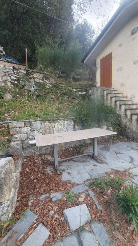 immagine annuncio 7 di 14