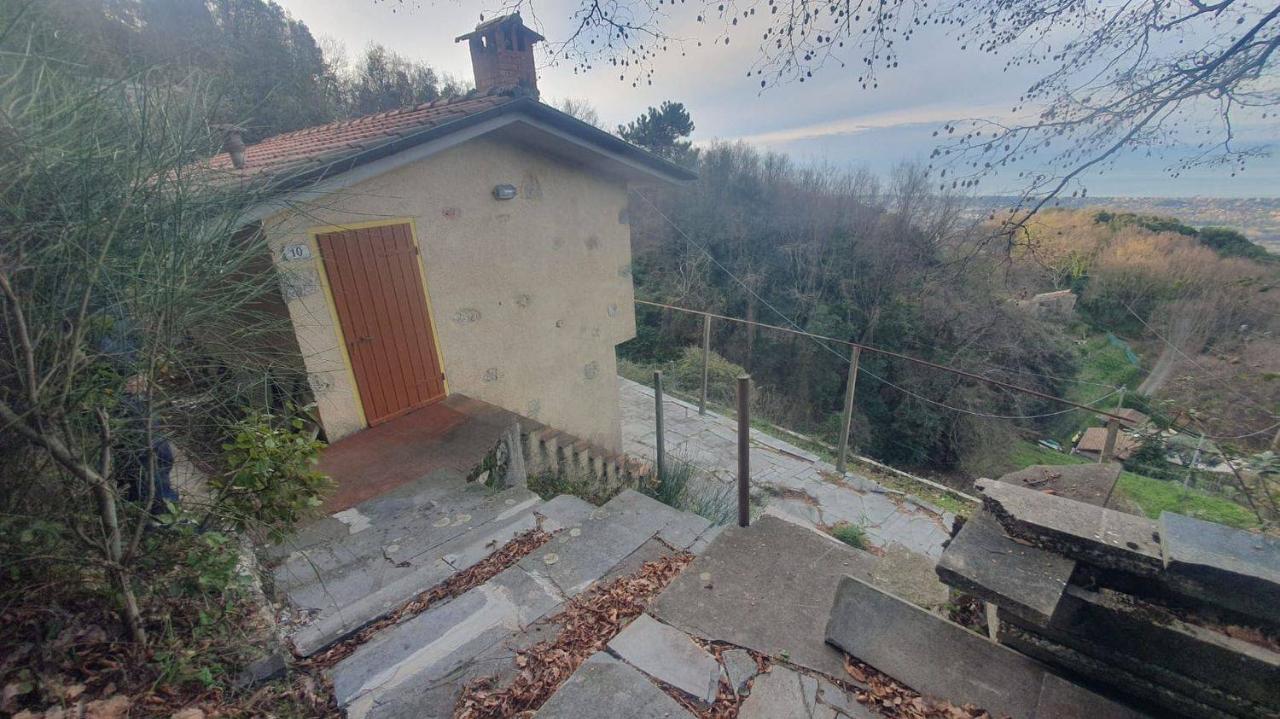 immagine annuncio 3 di 14