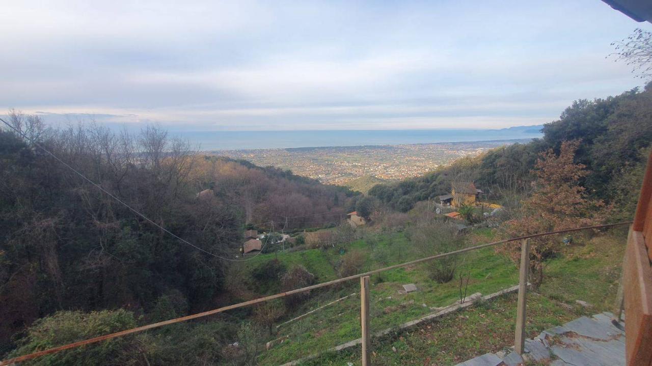 immagine annuncio 12 di 14
