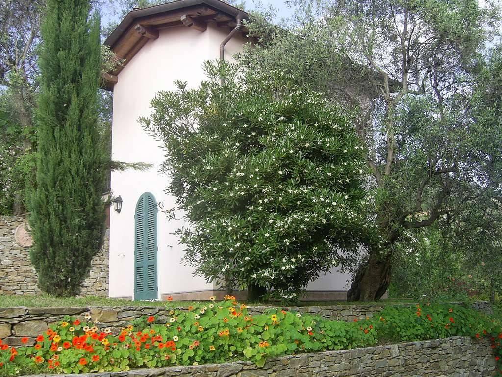 immagine annuncio 4 di 14