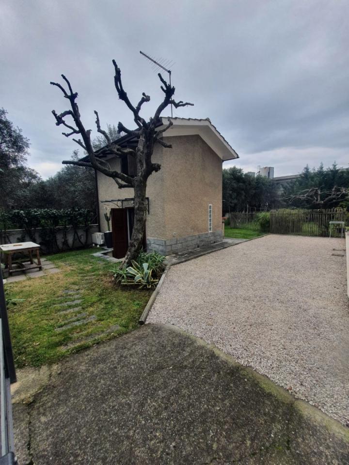 immagine annuncio 1 di 14